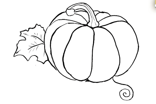 Outline:G7x5uoigido= Pumpkin