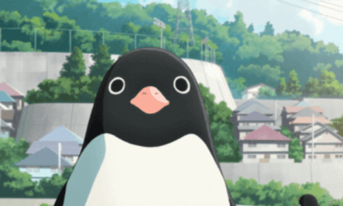 Anime:77ddsm9bsp0= Penguin