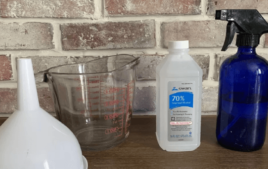 Homemade Bed Bug Spray