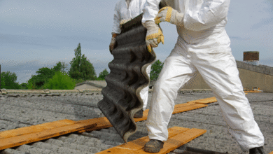 How Commercial Asbestos Removal Services Can Keep Your Building Safe and Compliant