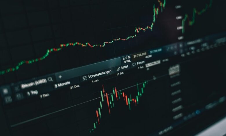 premium sector insights analysis
